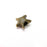5 Starfish Beads Antique Bronze Plated Metal Beads (14mm) G34322