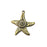 Starfish, Swirl Charms, Antique Bronze Plated Charms (37x34mm) G34348