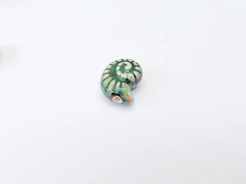 Green Porcelain Nautilus Beads, Ceramic Shell Bead, Summer Sea Bead, Ocean Jewelry Supply, Beach Theme Beads, Ammonite Beads 20x16mm G37173