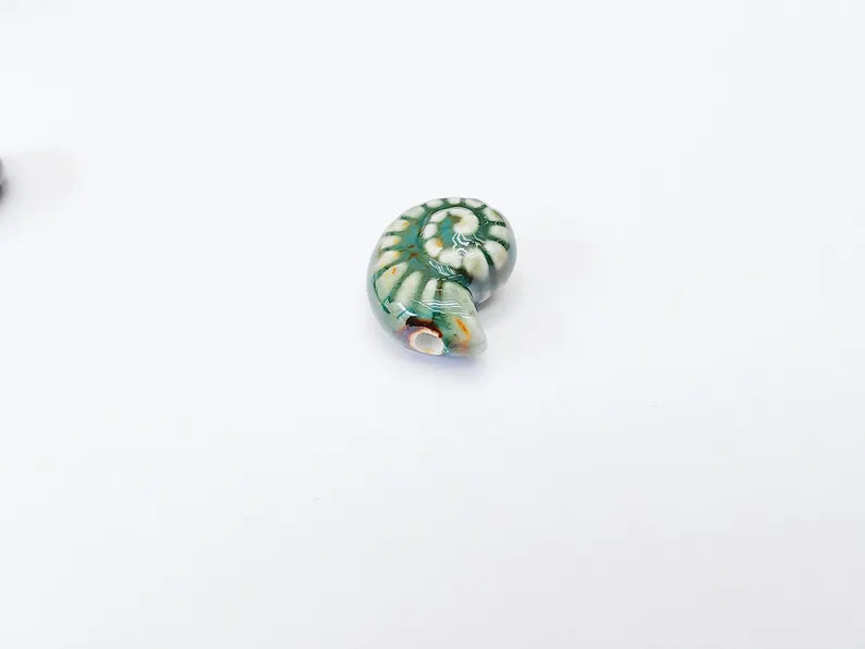 Green Porcelain Nautilus Beads, Ceramic Shell Bead, Summer Sea Bead, Ocean Jewelry Supply, Beach Theme Beads, Ammonite Beads 20x16mm G37173