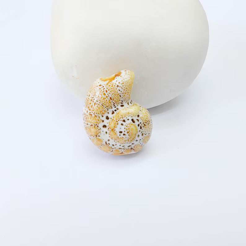 Beige Porcelain Nautilus Bead, Ceramic Shell Bead, Summer Sea Bead, Ocean Jewelry Supply, Beach Beads, Ammonite Bead 20x16mm G38003