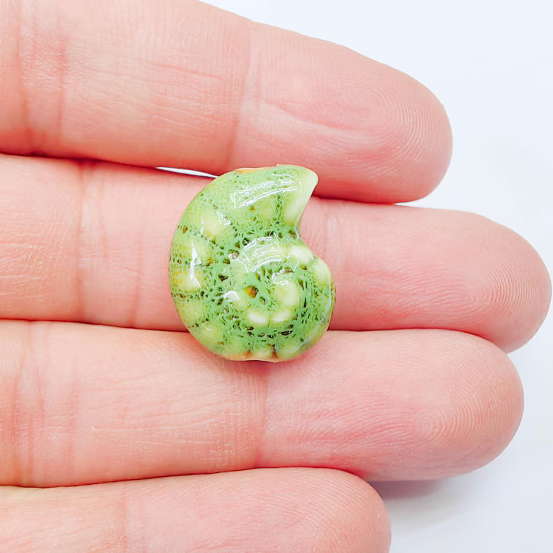 Green Porcelain Nautilus Beads, Ceramic Shell Bead, Summer Sea Bead, Ocean Jewelry Supply, Beach Theme Beads, Ammonite Beads 20x16mm G38001