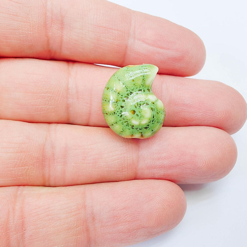 Green Porcelain Nautilus Beads, Ceramic Shell Bead, Summer Sea Bead, Ocean Jewelry Supply, Beach Theme Beads, Ammonite Beads 20x16mm G38001