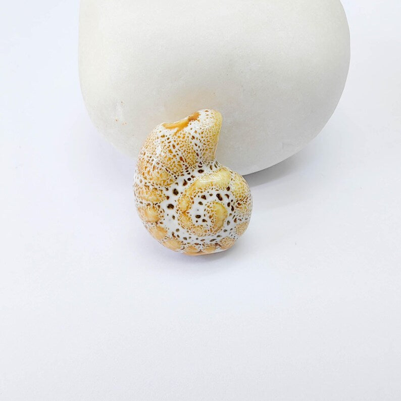 Beige Porcelain Nautilus Bead, Ceramic Shell Bead, Summer Sea Bead, Ocean Jewelry Supply, Beach Beads, Ammonite Bead 20x16mm G38003