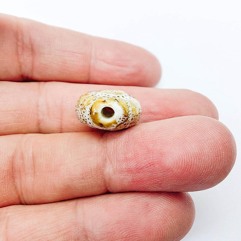 Beige Porcelain Nautilus Bead, Ceramic Shell Bead, Summer Sea Bead, Ocean Jewelry Supply, Beach Beads, Ammonite Bead 20x16mm G38003