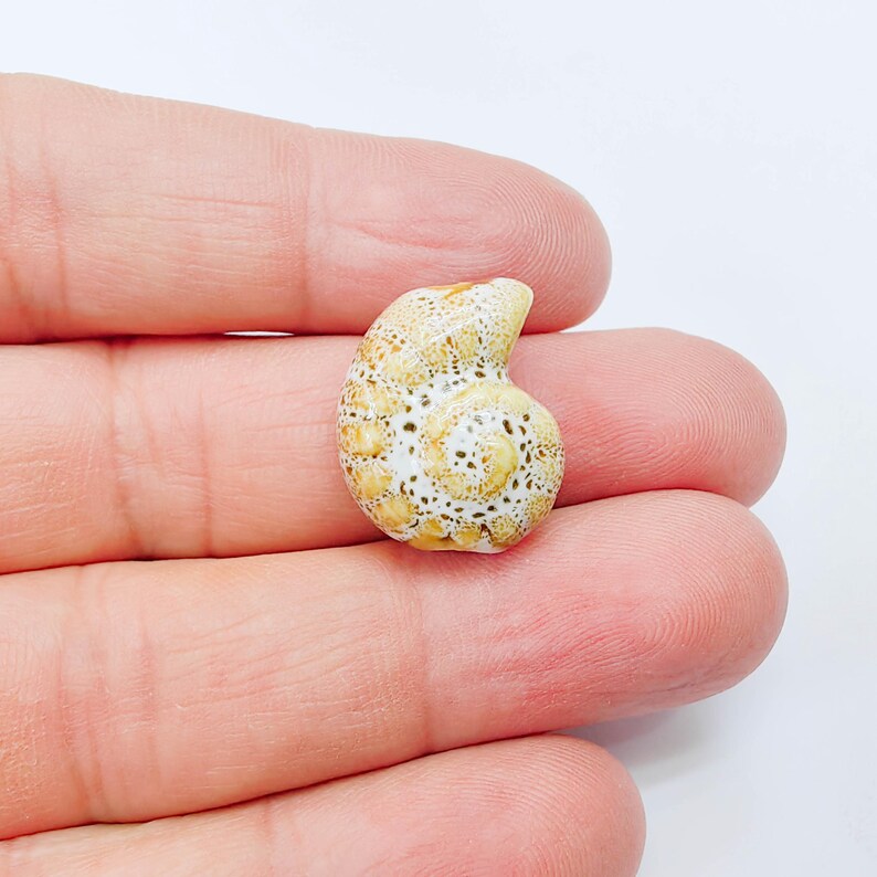Beige Porcelain Nautilus Bead, Ceramic Shell Bead, Summer Sea Bead, Ocean Jewelry Supply, Beach Beads, Ammonite Bead 20x16mm G38003