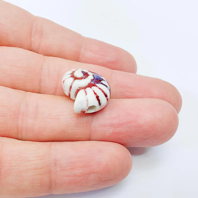 White, burgundy, blue Porcelain Nautilus Beads, Ceramic Shell Bead, Summer Sea Bead, Ocean Jewelry Supply, Beach Ammonite 20x16mm G38016