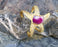 Gold Plated Brass Starfish Bracelet with Fuchsia Agate Gemstone Adjustable SR16