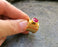 Gold Plated Brass Ring with Pink Gemstone Adjustable SR26