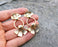 Flower Earrings Gold Plated Brass  SR125