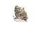 Beast Head Ring Antique Silver Plated Brass Adjustable SR396