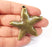 Starfish Charms Antique Bronze Plated Charms (55x55mm) G24699