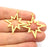 2 North Star Charm Gold Charm Gold Plated Charms  (38x33mm)  G13725