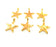 6 Star Charm Gold Plated Charm Gold Plated Metal (16x12mm)  G12214