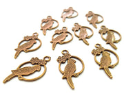 10 Parrot Charm Antique Bronze Charm Antique Bronze Plated Metal  (28x14mm) G13170