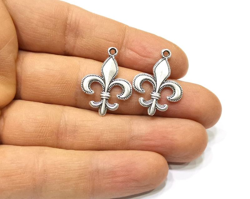 4 Silver Charms Antique Silver Plated Charms (26x19mm)  G16726