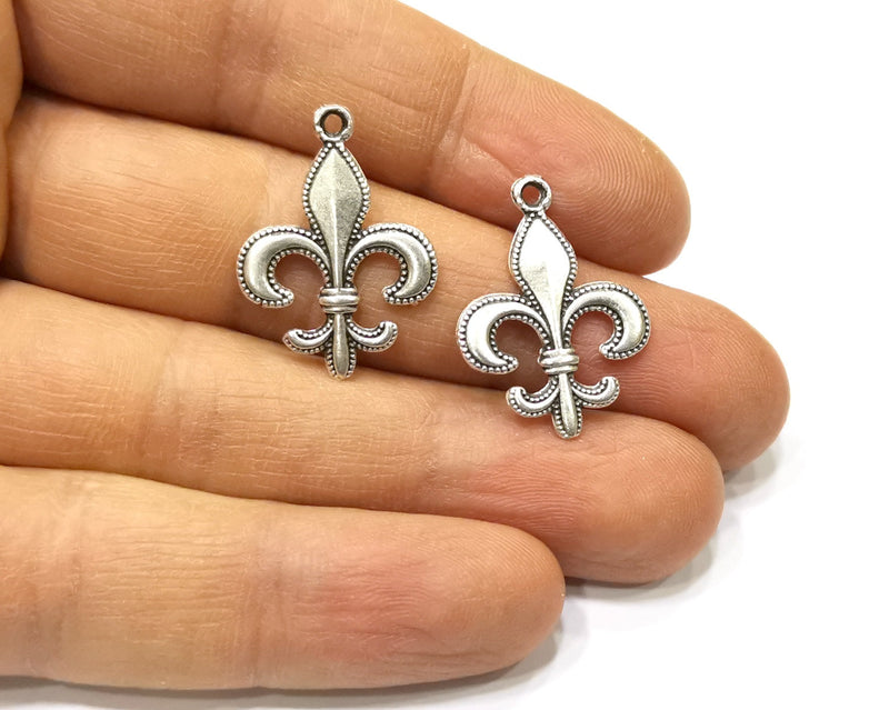 4 Silver Charms Antique Silver Plated Charms (26x19mm)  G16726