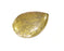 Antique Bronze Pendant Antique Bronze Plated Metal (53x38mm) G17272
