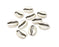 10 Cowrie Shell Charms Silver Charms Antique Silver Plated Metal (14x10mm) G16638
