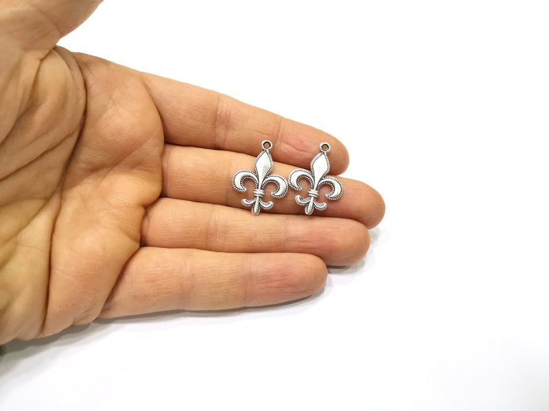 4 Silver Charms Antique Silver Plated Charms (26x19mm)  G16726