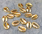 5 Cowrie Shell Charms Shiny Gold Plated Shell Charms (14x10mm)  G17976