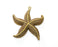 2 Starfish Charms Antique Bronze Plated Charms (48x43mm)  G19234