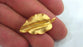 2 Gold Leaf Charms Leaf Charms  , Gold Plated Brass G9529