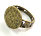 Adjustable Ring Blank, (15mm blank ) Antique Bronze Plated Brass G5523