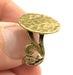 Adjustable Ring Blank, (15mm blank ) Antique Bronze Plated Brass G5588